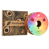 Polymaker Panchroma PLA Starlight filament 1,75 mm Mars 1 kg DFP14417 - 3