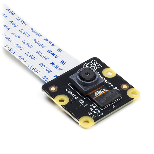 the raspberry pi camera module v2
