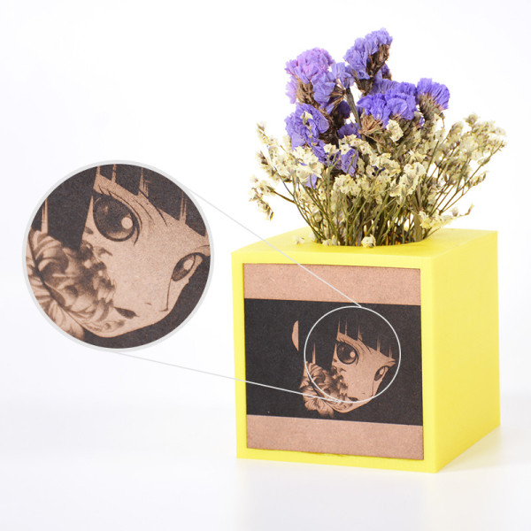 Snapmaker MDF plaatjes (10 Stuks) 33011 DMT00001 - 3
