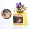 Snapmaker MDF plaatjes (10 Stuks) 33011 DMT00001 - 3