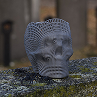 Wireframe Skull