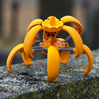 Pumpkin Spider Transformer