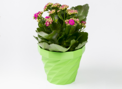 Bloempot